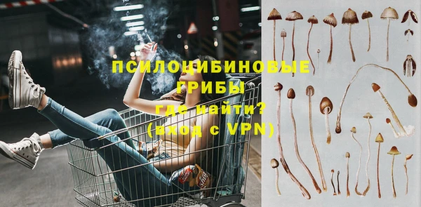 скорость Осташков