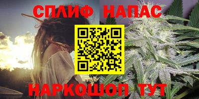 гидра Берёзовский