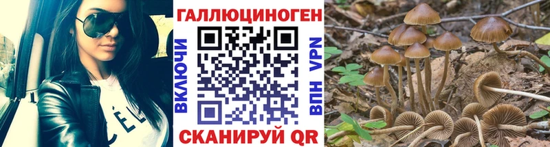 omg сайт  Балтийск  Галлюциногенные грибы Magic Shrooms 