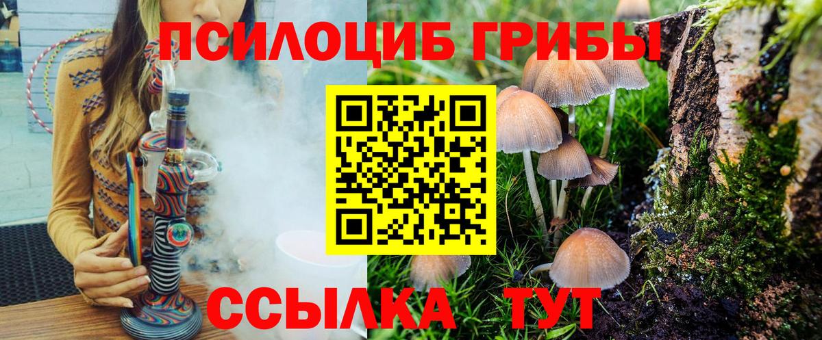 Псилоцибиновые грибы мицелий  Вход с VPN  хочу   Балтийск 