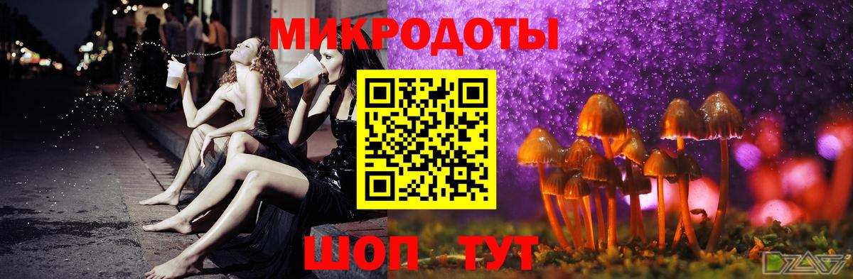 Псилоцибиновые грибы GOLDEN TEACHER Балтийск
